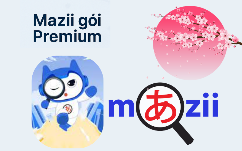 Mazii gói Premium 