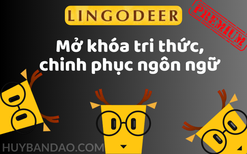 Nâng cấp Lingodeer Premium