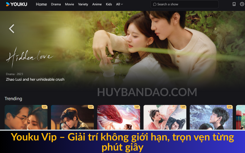 Nâng cấp Youku gói Vip